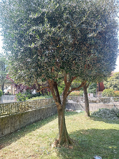 greenservice - Visual