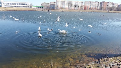 Photos of Park 1000-Letiya Vitebska