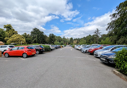 Car Park - Virginia Water - Thumbnail