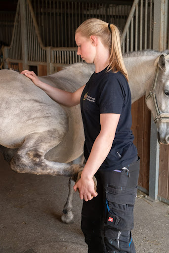 Tierphysio Schepperle - Visual