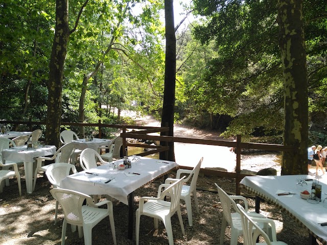 El Molí d'en Robert