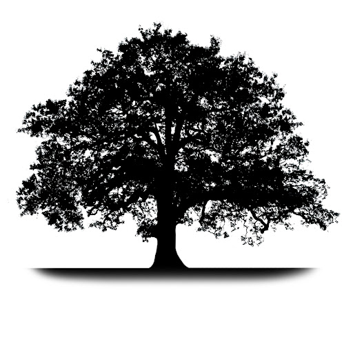 Horsham & Sussex Back Pain Clinic - Thumbnail