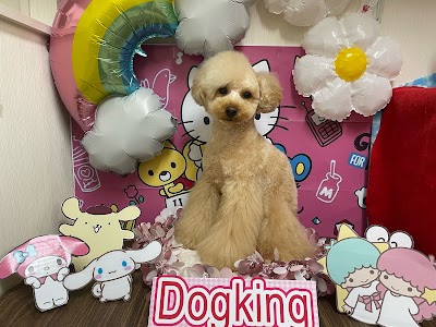 Dogking（ドッキング）中田店