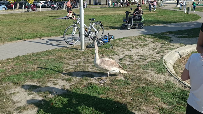 Értékelések erről a helyről: Velence Korzó, Velence - Bevásárlóközpont