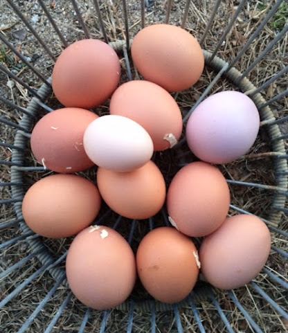 1760 Homestead Farm by null