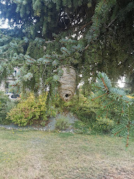 Photo n°10 de Cédric Sageot, frelon, guêpes, chenilles etc.. à Étrépagny (Services de nettoyage)