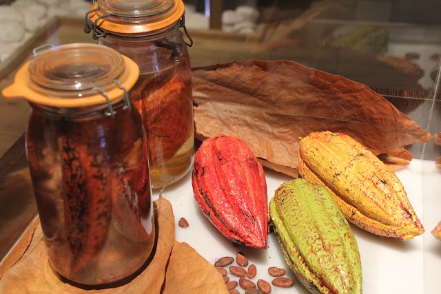 L'atelier du chocolat
