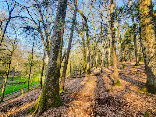 Photo de Domaine du Val Sauvage à Cinq-Mars-la-Pile (37130)
