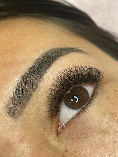 Dandy Lashes - Visual