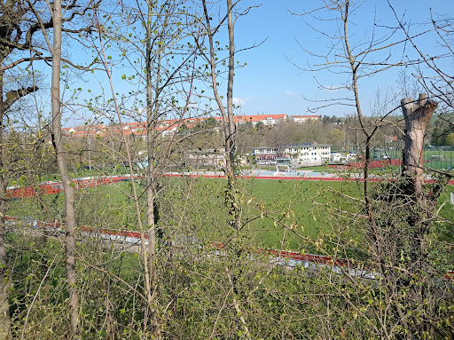 Stadion Gesundbrunnen Heilbad Heiligenstadt - Thumbnail
