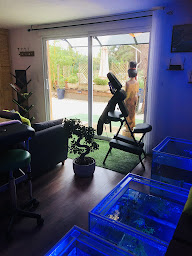 Photo n°7 de Fish Massage Villeveyrac à Villeveyrac (Centre de bien-être)