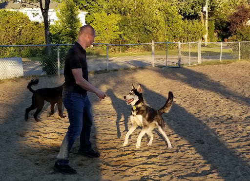 Parc canin Hervé-Doucet - Thumbnail