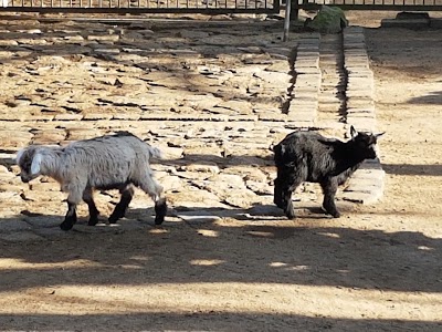 Photos of Zoo Stralsund