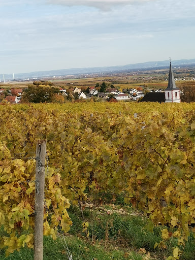Mölsheim - Thumbnail