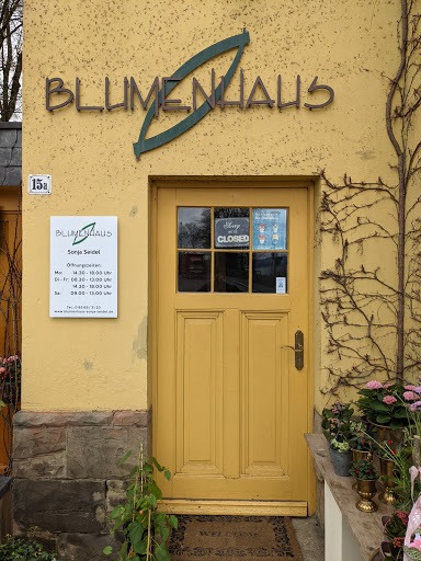 Blumenhaus Sonja Seidel - Visual
