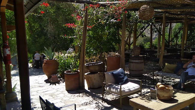 Horarios de Destileria Pisco Mistral