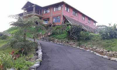 Photos of Mansion De La Amazonia