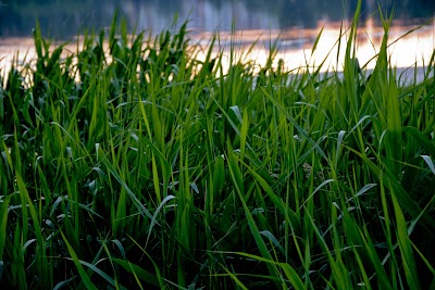 Photos of Valea Morilor Park
