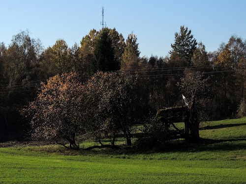 Ciemgaļu