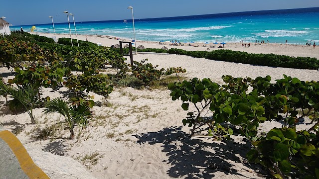 Playa Delfines