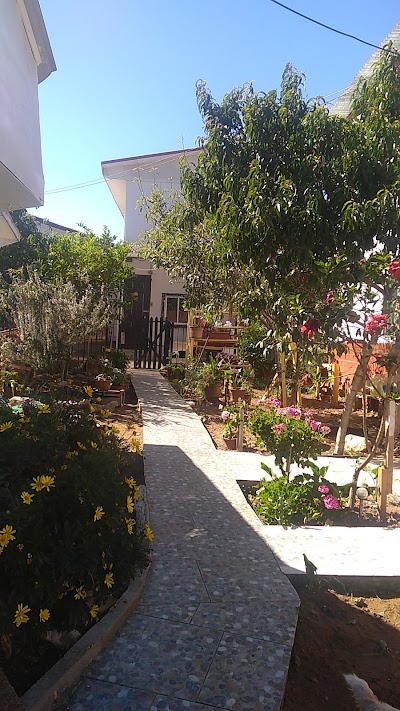 Photos of Caba&ntilde;as Miralmar