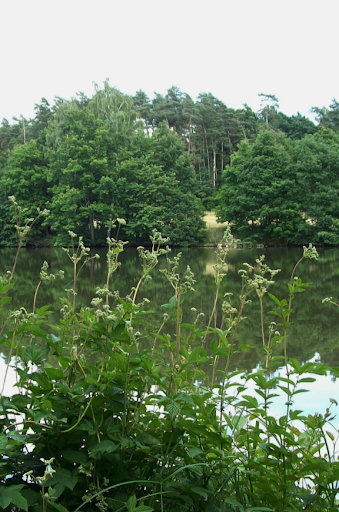 Fischbacher Teich - Thumbnail