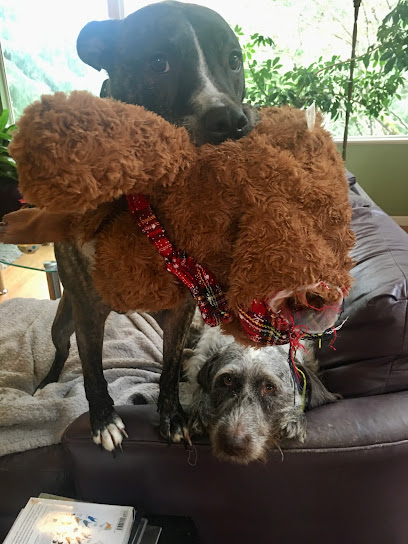 Annabelle's Animal Care Service