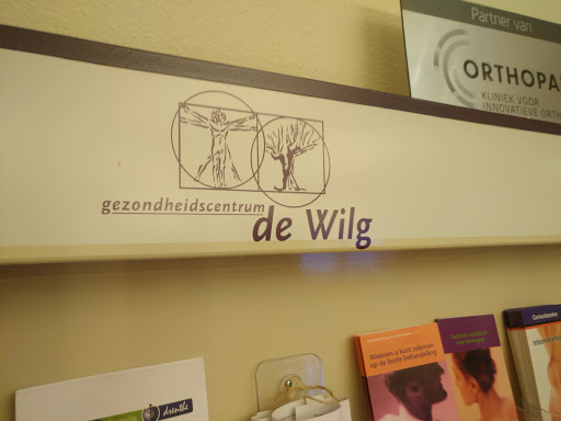 Fysiotherapie Praktijk de Wilg