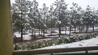 Photos of E&uuml;aş Misafirhanesi