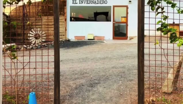 El Invernadero — photo 4