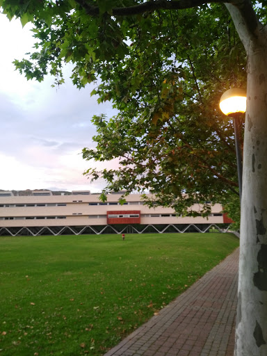 Facultad de Ciencia y Tecnología - Thumbnail