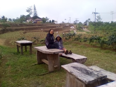 Photos of D'Nita Cafe Rudy Hartono Bermi