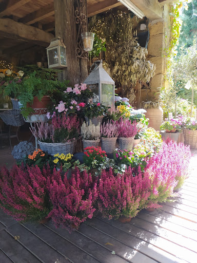 Markina Floristas - Thumbnail