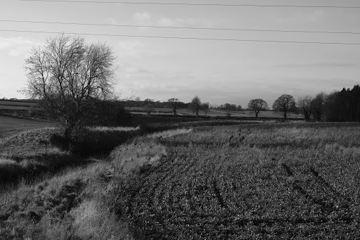 Old Escrick Station - Thumbnail