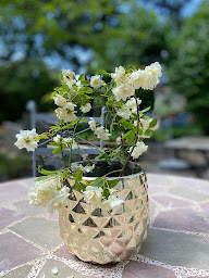 Photo n°43 de Maison Bersane à Le Poujol-sur-Orb (Hôtel)