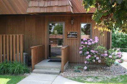 Lacey N Greenwald, DDS