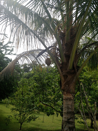 Centro Judicial de Cabo Rojo - Thumbnail