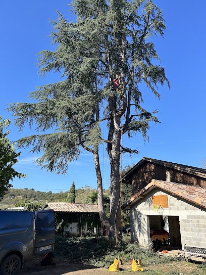 Sasu BOIS DE ROCHE
