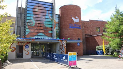 The Maritime Aquarium at Norwalk