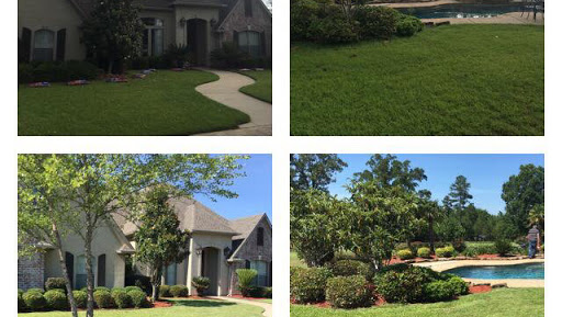 Quality Lawn Services