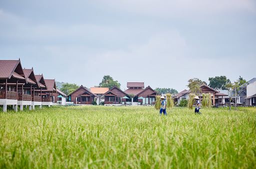 Farmer's Villa