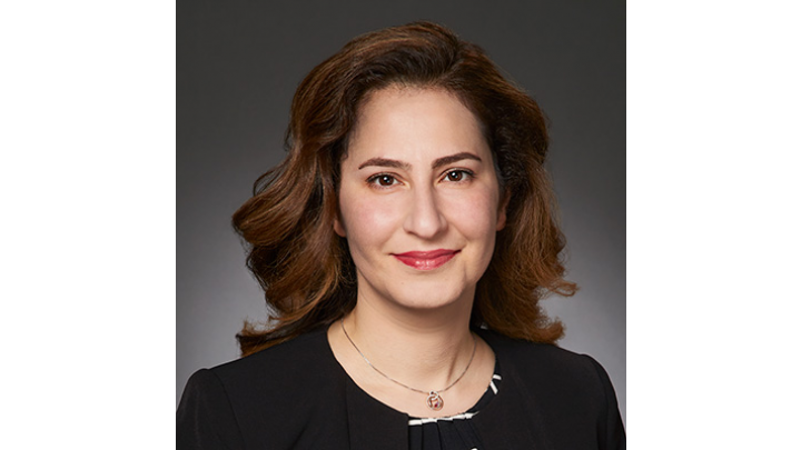 Helen Hashemi Md