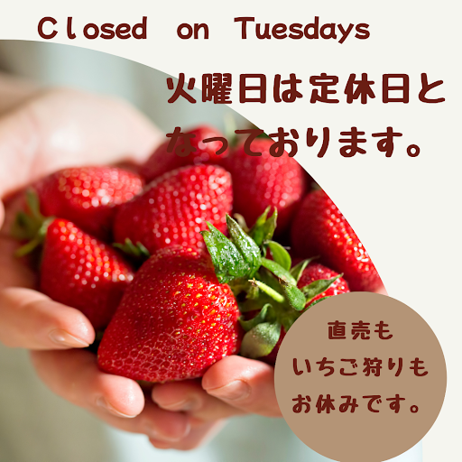 いちご狩り 渡邉いちご園(千葉県君津市)