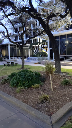 Neth Park Gallery - United States