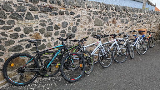 REVOLT CYCLES - Visual