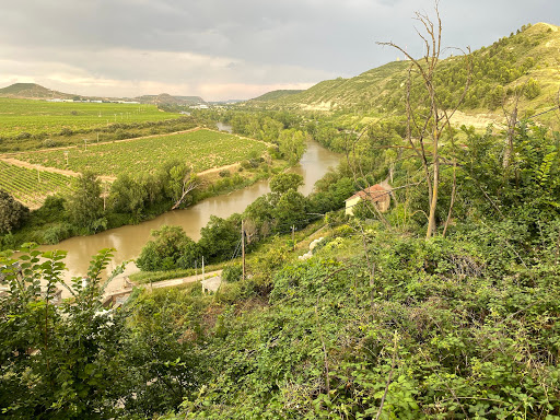 Alto del camino