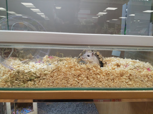 Pets at Home Inverurie - Thumbnail