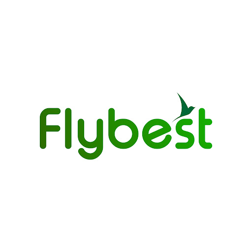 Flybest - Visual
