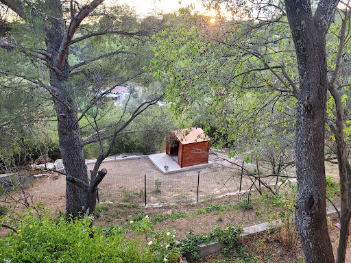 keepdog pension canine Gallery - France