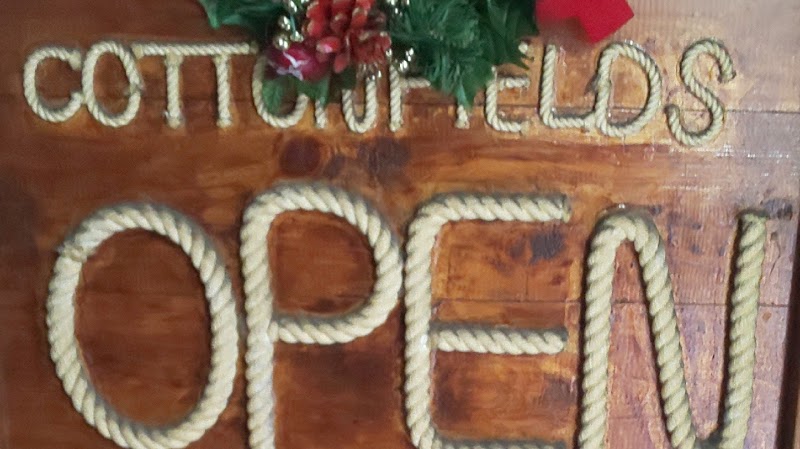 コットンフィールズ